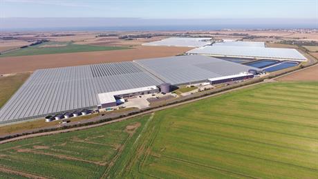 Sector Review 2025: Fresh Produce